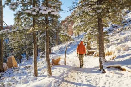 Bei unserer Auszeit kannst du entspannen, auftanken, regenerieren im neuen Jahr mit Yoga und Wandern, Meditation und Achtsamkeit im Kloster Steinfeld in der Eifel.