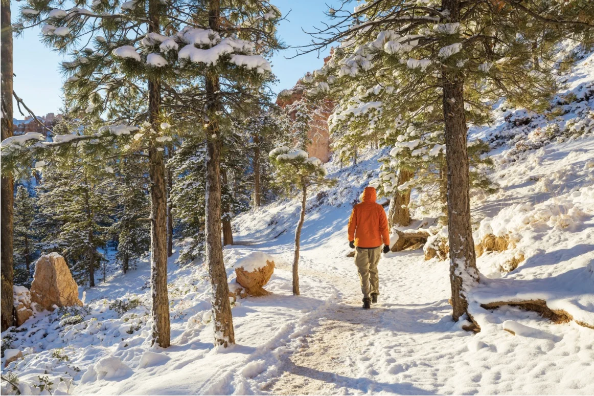 Silvester & Neujahr Retreat: Soul & Yin Yoga, Entspannung & Wandern im Kloster 1 Bei unserer Auszeit kannst du entspannen, auftanken, regenerieren im neuen Jahr mit Yoga und Wandern, Meditation und Achtsamkeit im Kloster Steinfeld in der Eifel.