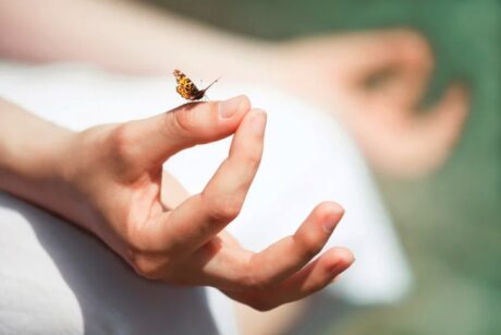 Mind Detox: Slow & Yin Yoga, Meditation | Stille spüren & Relax 5 Stille Retreat - mit Yin Yoga, Meditation & Naturerfahrung im Schweigekloster - Kloster Bestwig im Sauerland