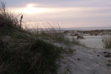 Bildungsurlaub: Stressbewältigung, Sinnorientierung & Selbstführung mit Yoga, Qigong & Atemkraft auf BORKUM 5 Bildungsurlaub mit Yoga und Qigong am Strand der Nordseeinsel Borkum – Erholung, Achtsamkeit und Stressabbau am Meer.