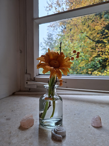 Photo from customer review