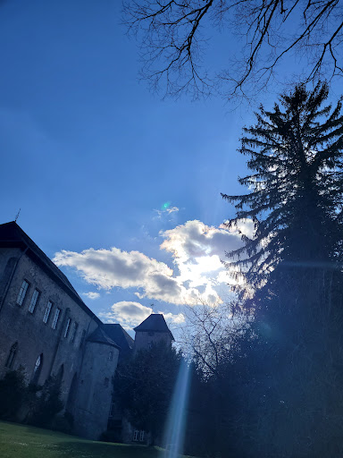 Photo from customer review