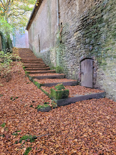 Photo from customer review