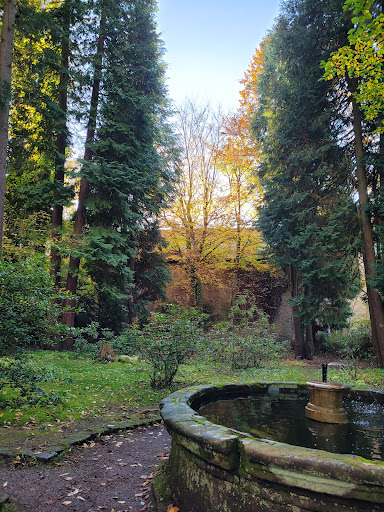 Photo from customer review