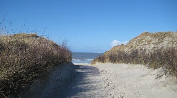 Dünen auf Norderney – Bildungsurlaub an der Nordsee