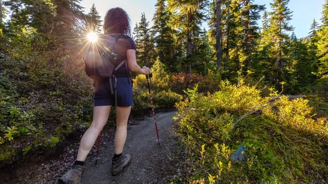 Eine Gruppe mit Vivere Vital mit Yoga und Wandern in der Eifel unterwegs. Entspannung und Erholung für Körper, Geist und Seele.